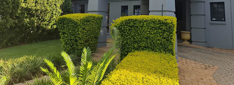 Landscape Design